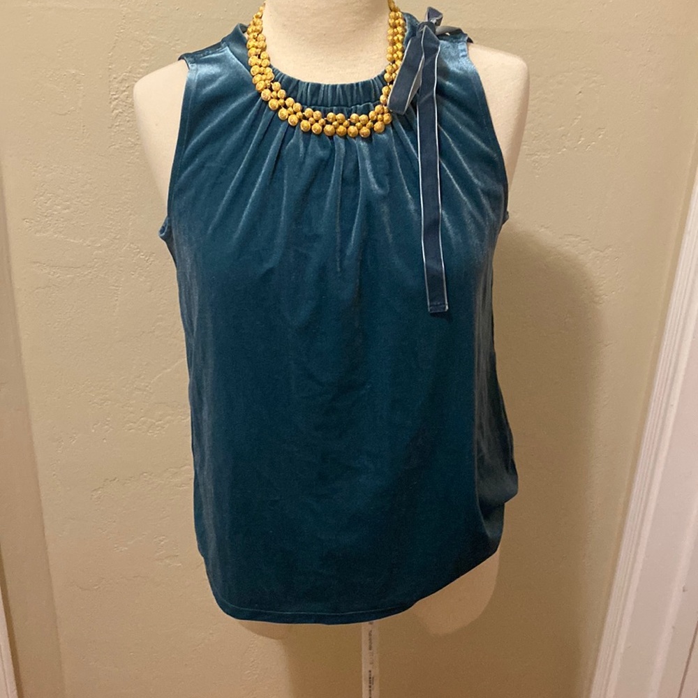 Ann Taylor top